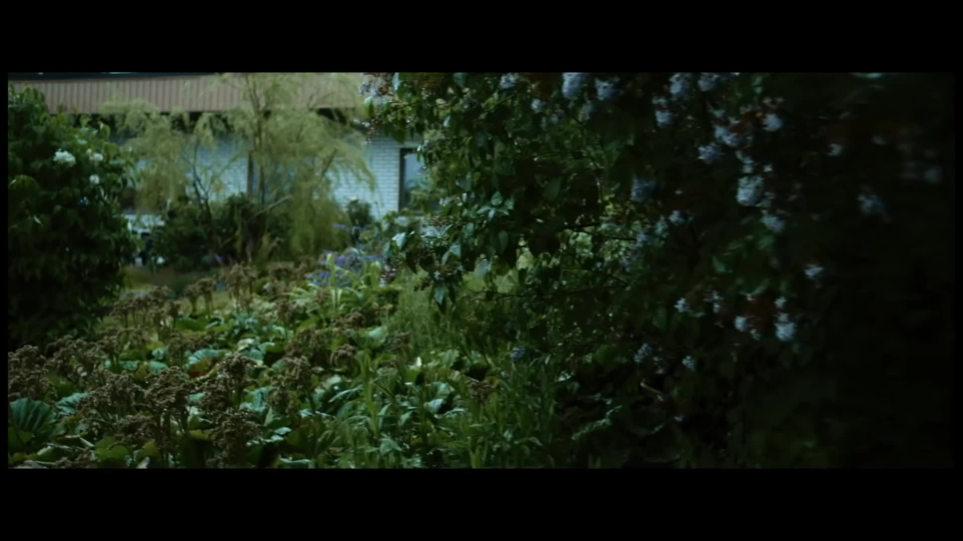 #不务正业 Avicii - Waiting For Love